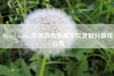 常宁中国消防救援学院录取分数线公布