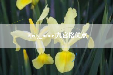 常宁九宫格优点