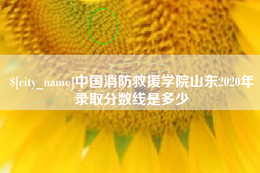 常宁中国消防救援学院山东2020年录取分数线是多少