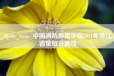 常宁中国消防救援学院2021年浙江省录取分数线