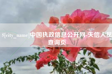 常宁中国执政信息公开网-失信人员查询页