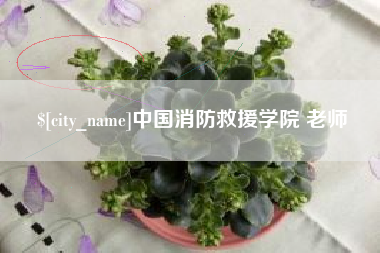 常宁中国消防救援学院 老师