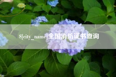 常宁全国消防证书查询