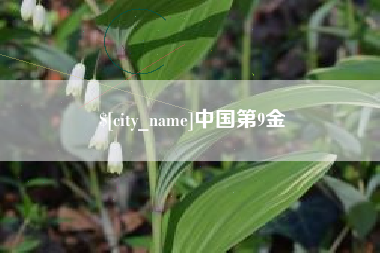 常宁中国第9金
