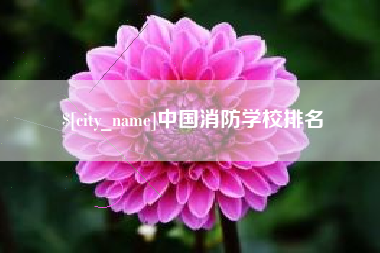 常宁中国消防学校排名