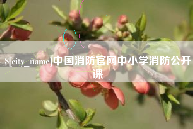 常宁中国消防官网中小学消防公开课