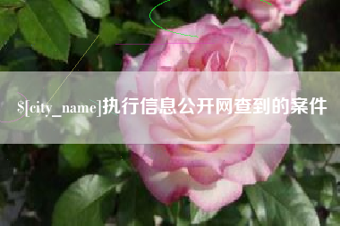 常宁执行信息公开网查到的案件