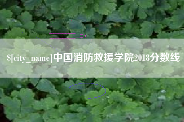 常宁中国消防救援学院2018分数线