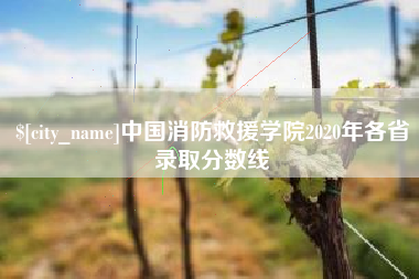 常宁中国消防救援学院2020年各省录取分数线