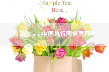 常宁中国执行网信息官网