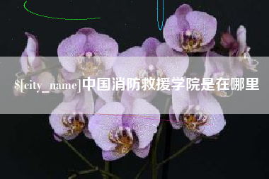 常宁中国消防救援学院是在哪里