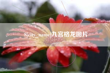 常宁九宫格龙图片
