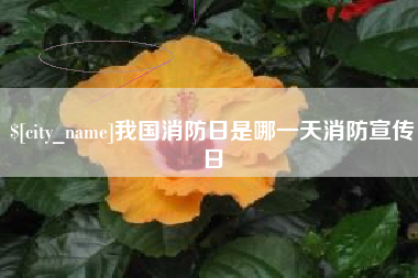 常宁我国消防日是哪一天消防宣传日