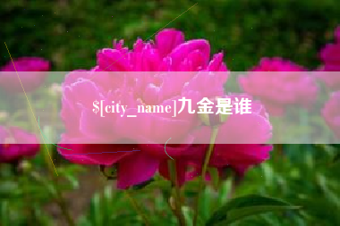 常宁九金是谁