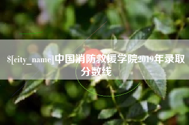 常宁中国消防救援学院2019年录取分数线