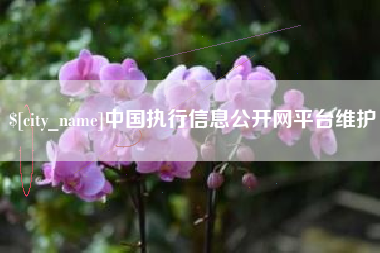 常宁中国执行信息公开网平台维护