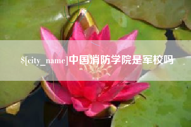 常宁中国消防学院是军校吗