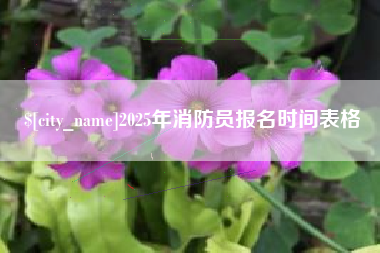 常宁2025年消防员报名时间表格