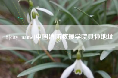 常宁中国消防救援学院具体地址