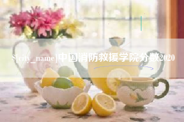常宁中国消防救援学院分数2020