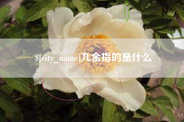 常宁九金指的是什么