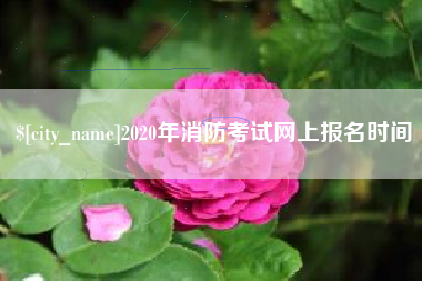 常宁2020年消防考试网上报名时间