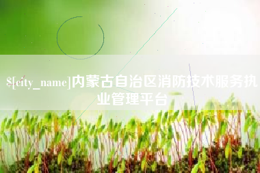 常宁内蒙古自治区消防技术服务执业管理平台