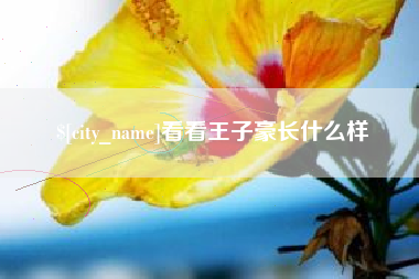 常宁看看王子豪长什么样
