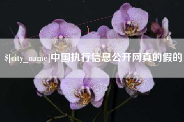 常宁中国执行信息公开网真的假的