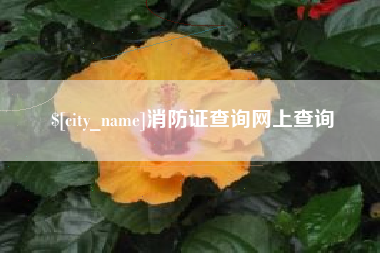 常宁消防证查询网上查询