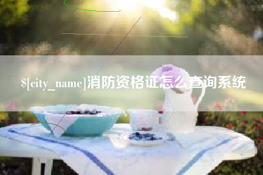 常宁消防资格证怎么查询系统