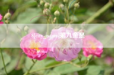 常宁第九金是