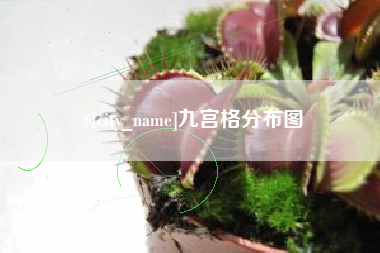 常宁九宫格分布图