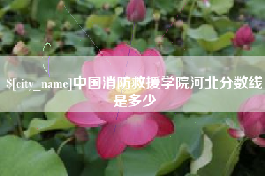 常宁中国消防救援学院河北分数线是多少