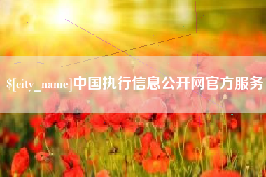 常宁中国执行信息公开网官方服务