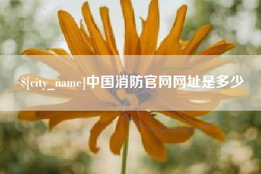 常宁中国消防官网网址是多少