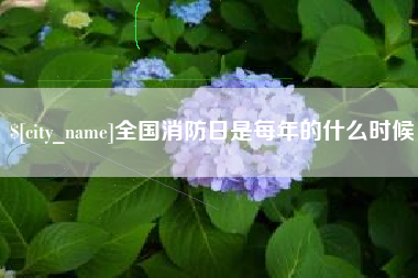 常宁全国消防日是每年的什么时候