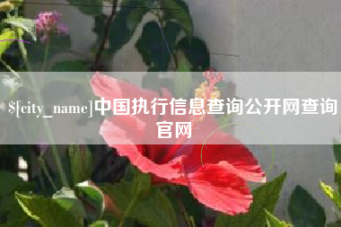 常宁中国执行信息查询公开网查询官网