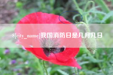 常宁我国消防日是几月几日