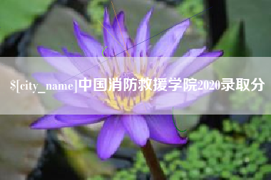 常宁中国消防救援学院2020录取分