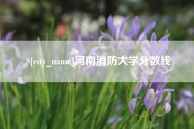 常宁河南消防大学分数线