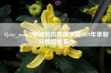 常宁中国消防救援学院2019年录取分数线是多少