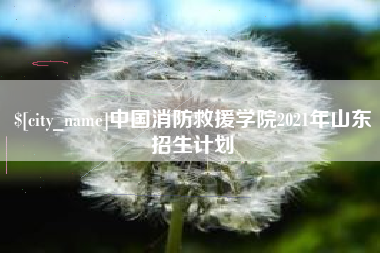 常宁中国消防救援学院2021年山东招生计划