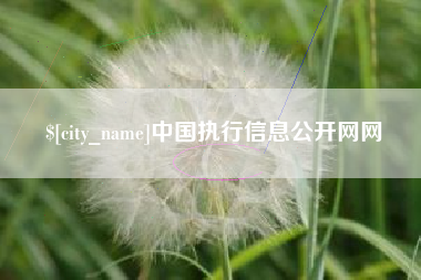 常宁中国执行信息公开网网