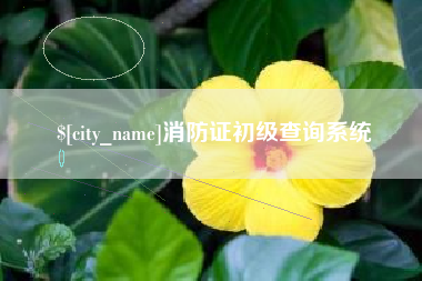 常宁消防证初级查询系统