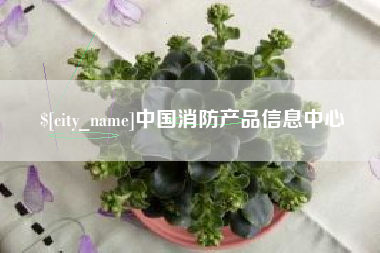 常宁中国消防产品信息中心