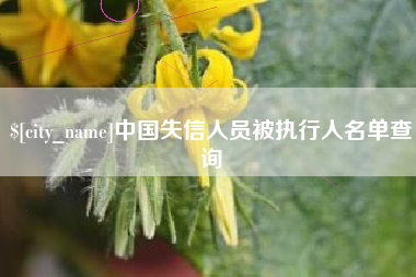 常宁中国失信人员被执行人名单查询
