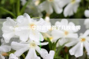 常宁中国金牌得了几枚金牌