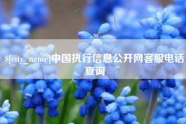 常宁中国执行信息公开网客服电话查询