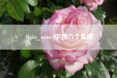 常宁中国六个金牌
